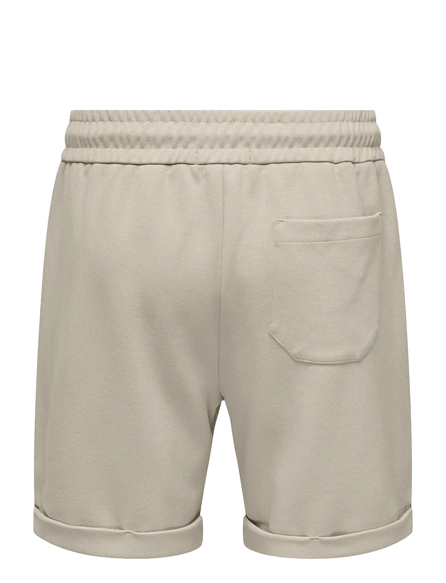 ONLY & SONS - ONSNEWKODYL REG S SHORTS NOOS - casual shorts - silver lining - 2