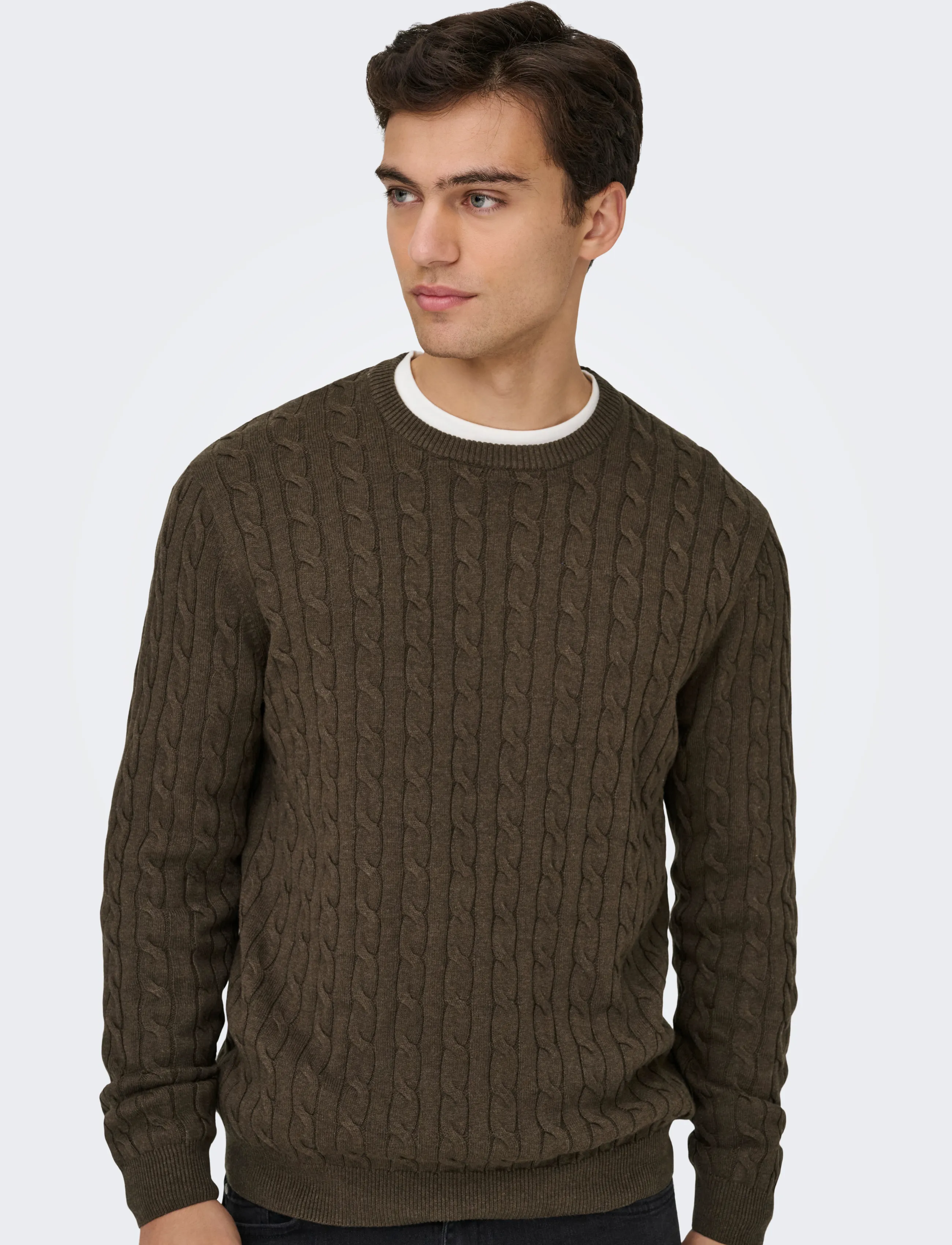 ONLY & SONS ONSLOUI REG 12 CABEL CREW KNIT NOOS - Vatertag - COFFEE BEAN / brown