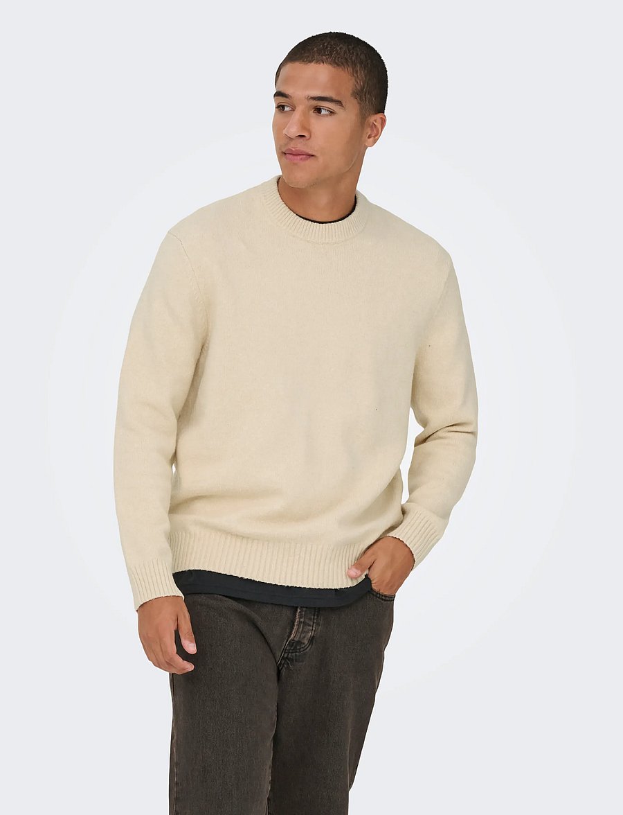 ONLY & SONS - ONSJAMES RLX CREW KNIT NOOS - Ümara kaelusega - oatmeal - 0