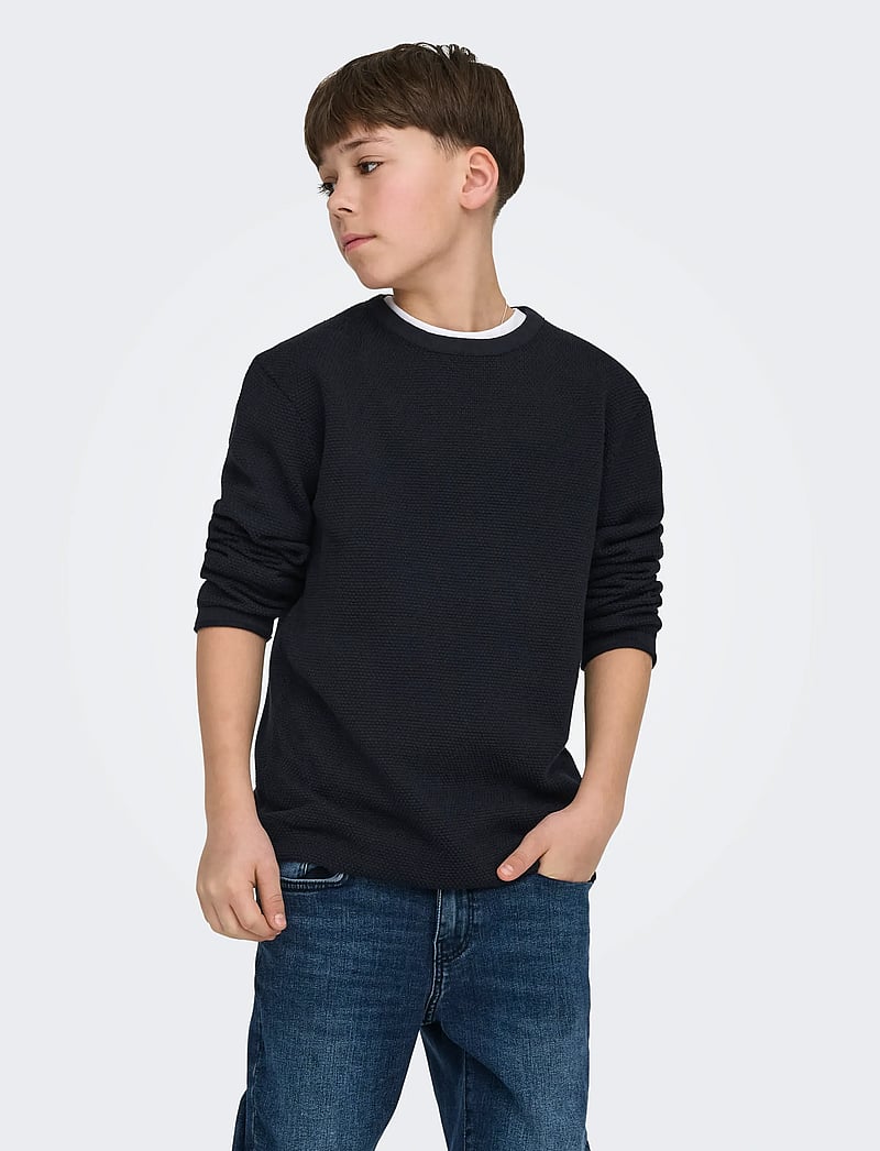 ONLY & SONS - OSJPANTER REG CREW KNIT NOOS - trøjer - dark navy - 0