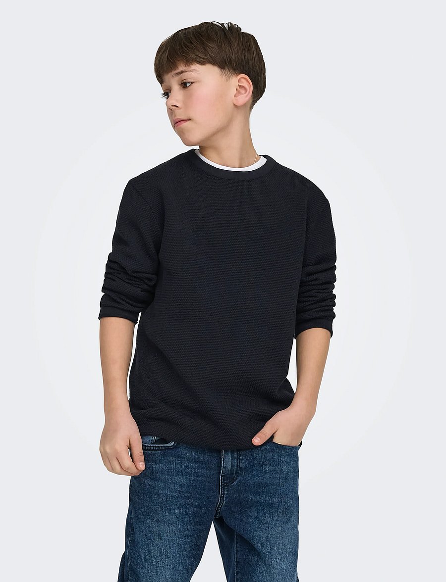 ONLY & SONS - OSJPANTER REG CREW KNIT NOOS - pullover - dark navy - 0
