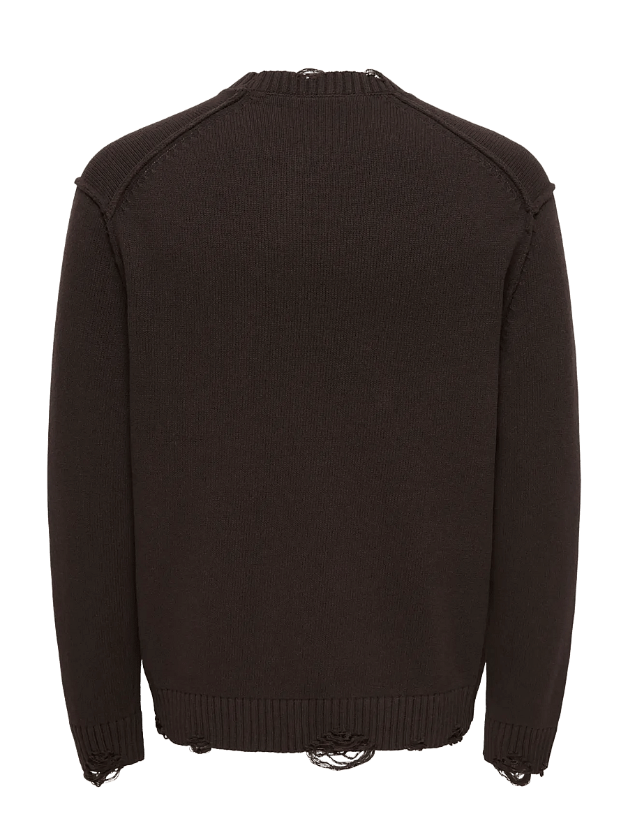 ONLY & SONS - ONSTUNE RLX LS CREW NECK KNIT - rundhals - coffee bean - 1