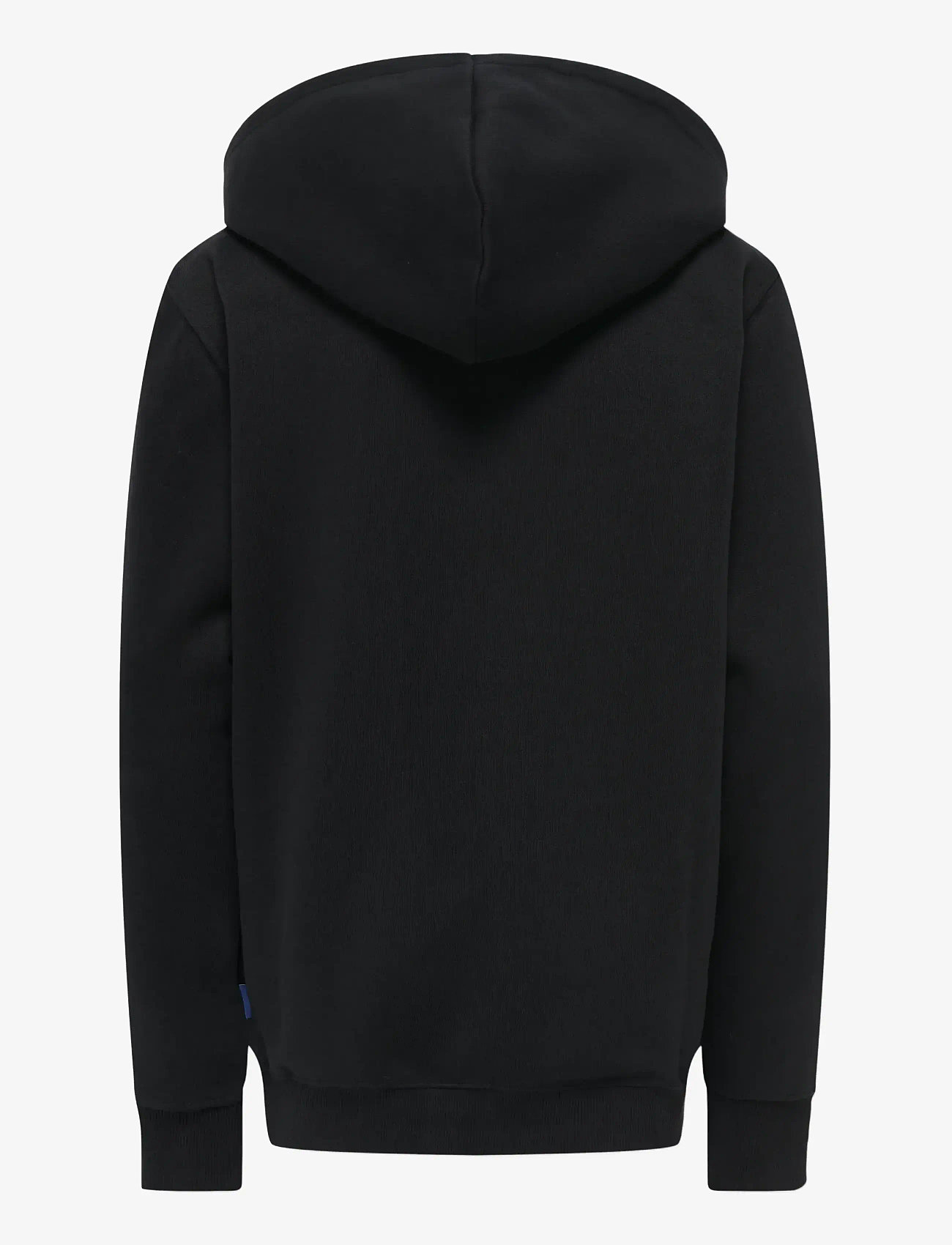 ONLY & SONS - OSJCURATED REG HOODIE SWEAT VD - kapuzenpullover - black - 1