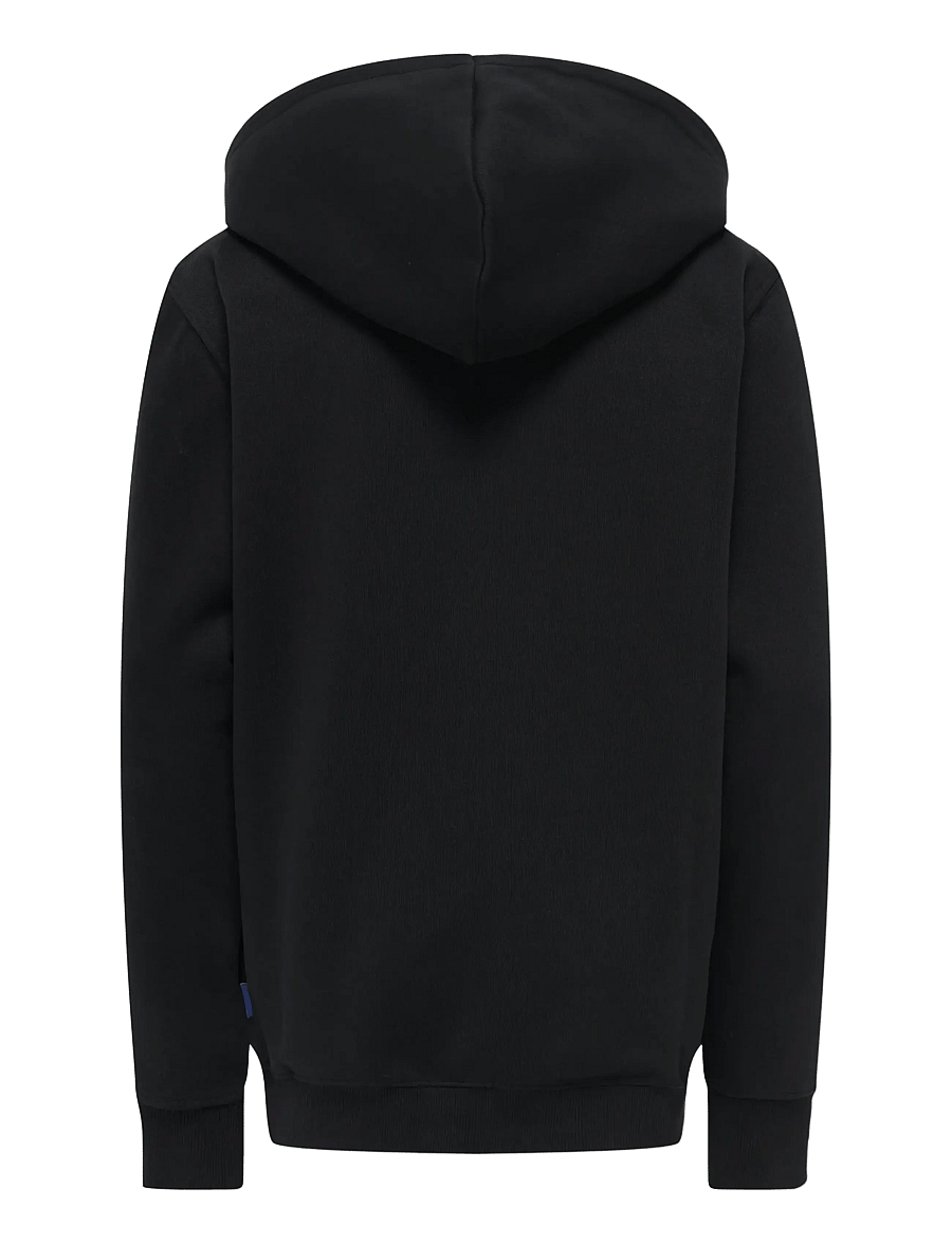 ONLY & SONS - OSJCURATED REG HOODIE SWEAT VD - hoodies - black - 1