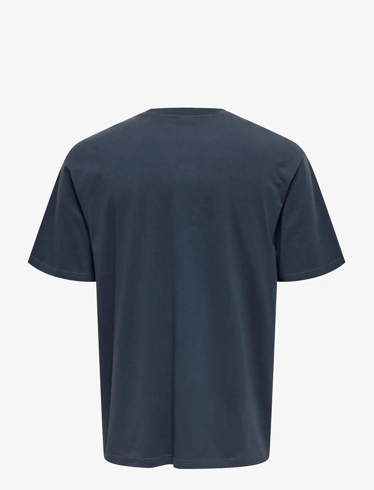 ONLY & SONS - ONSFRED LIFE OPT 4 RLX SS TEE VD - kortärmade t-shirts - blue nights - 2