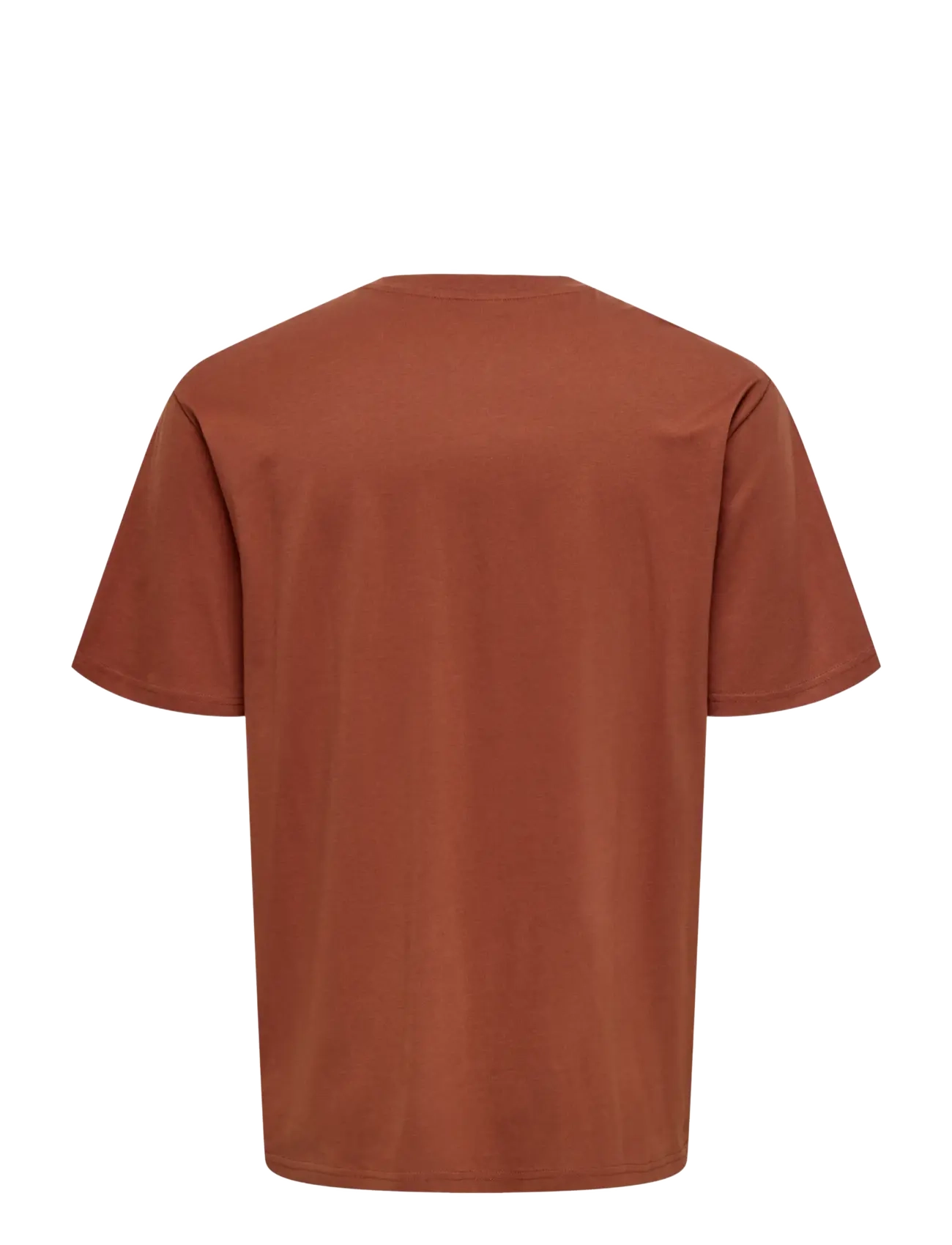 ONLY & SONS - ONSFRED LIFE OPT 4 RLX SS TEE VD - stutterma bolir - sequoia - 2