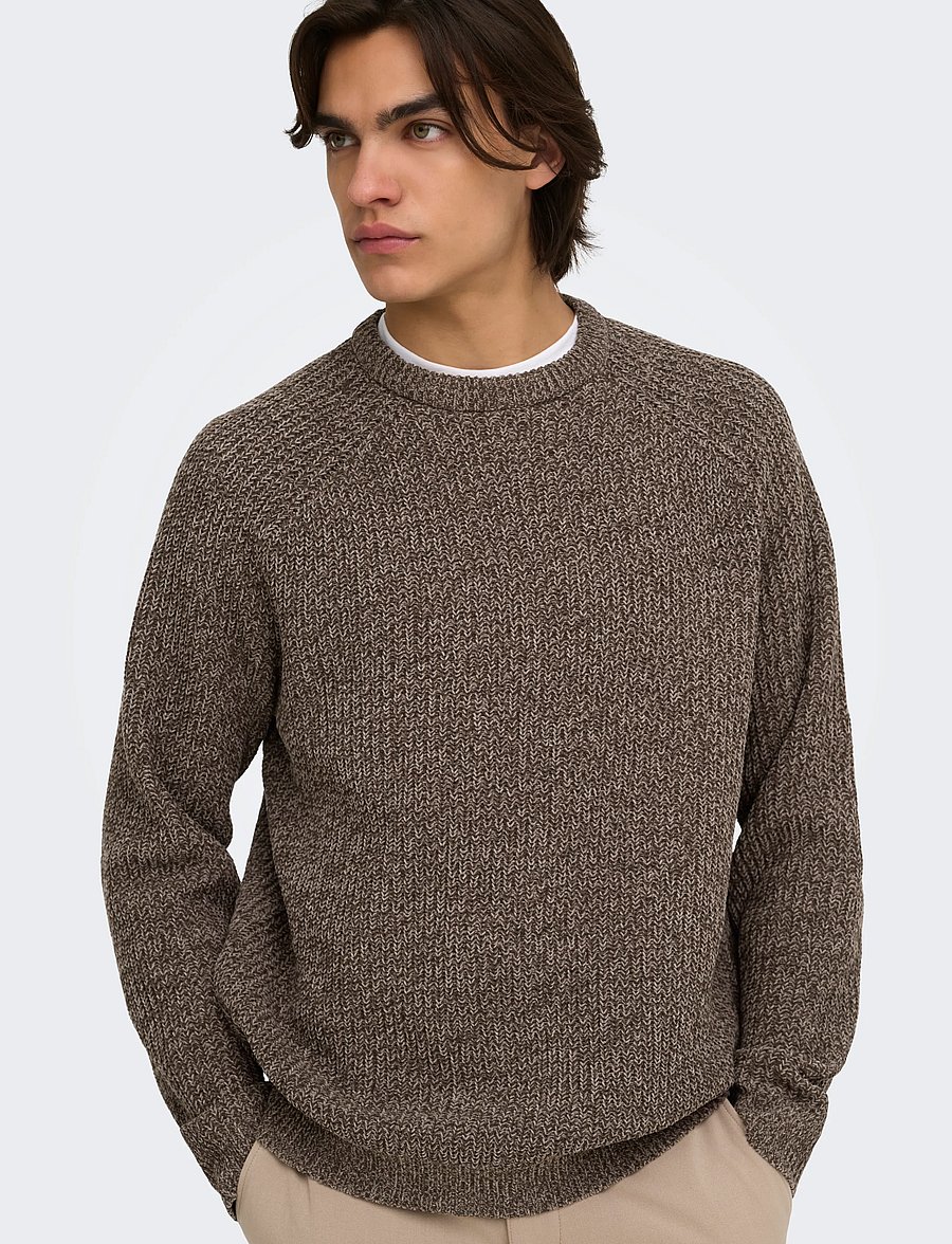 ONLY & SONS - ONSJOIN RLX LS RAGLAN KNIT - rundhals - falcon - 5
