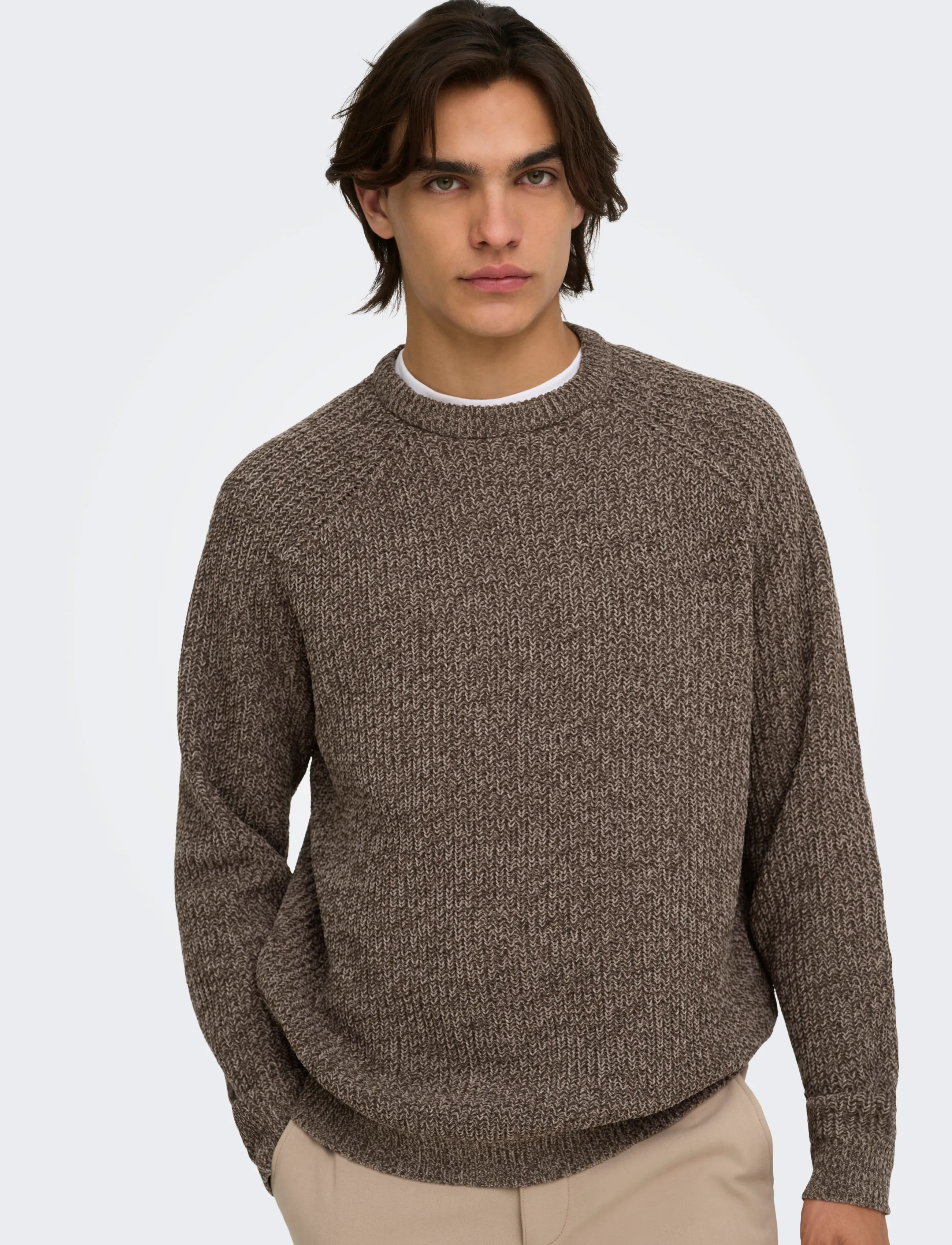 ONLY & SONS ONSJOIN RLX LS RAGLAN KNIT - Vatertag - FALCON / brown