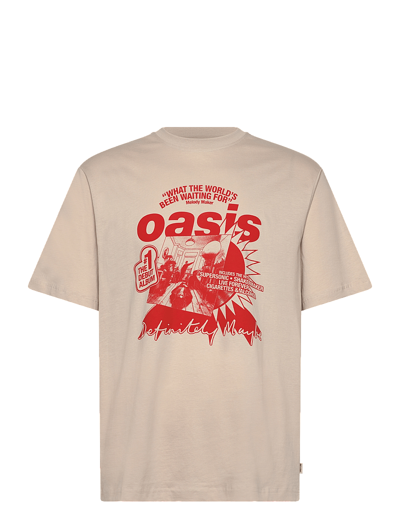 ONLY & SONS - ONSOASIS SS RLX TEE - kurzärmelig - silver lining - 1