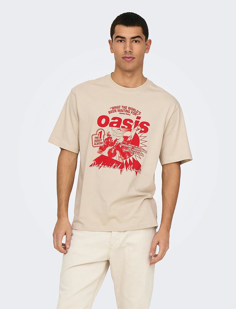 ONLY & SONS - ONSOASIS SS RLX TEE - kurzärmelig - silver lining - 0