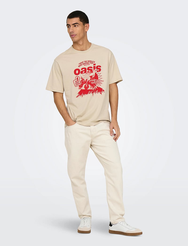 ONLY & SONS - ONSOASIS SS RLX TEE - kurzärmelig - silver lining - 4