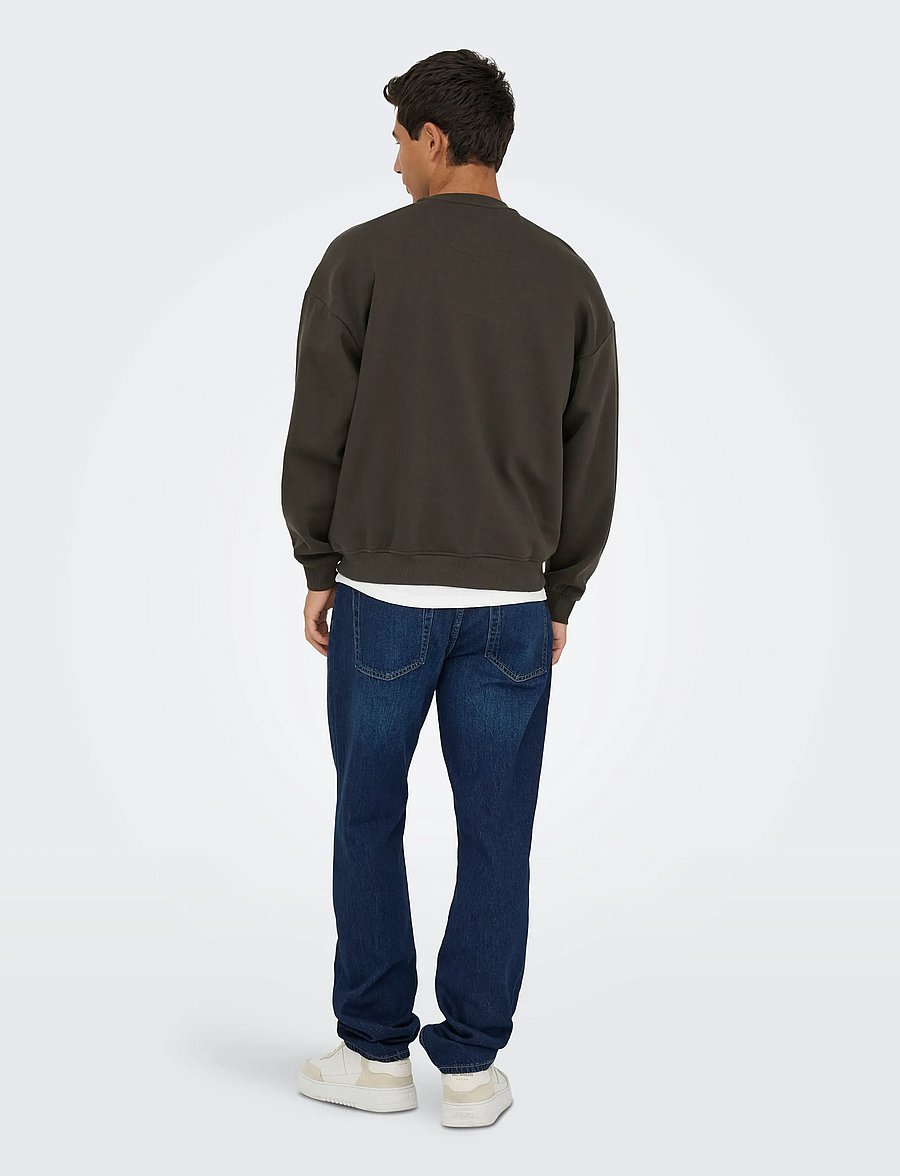 ONLY & SONS - ONSBANKSY VTG CREW NECK VD - collections - mulch - 3