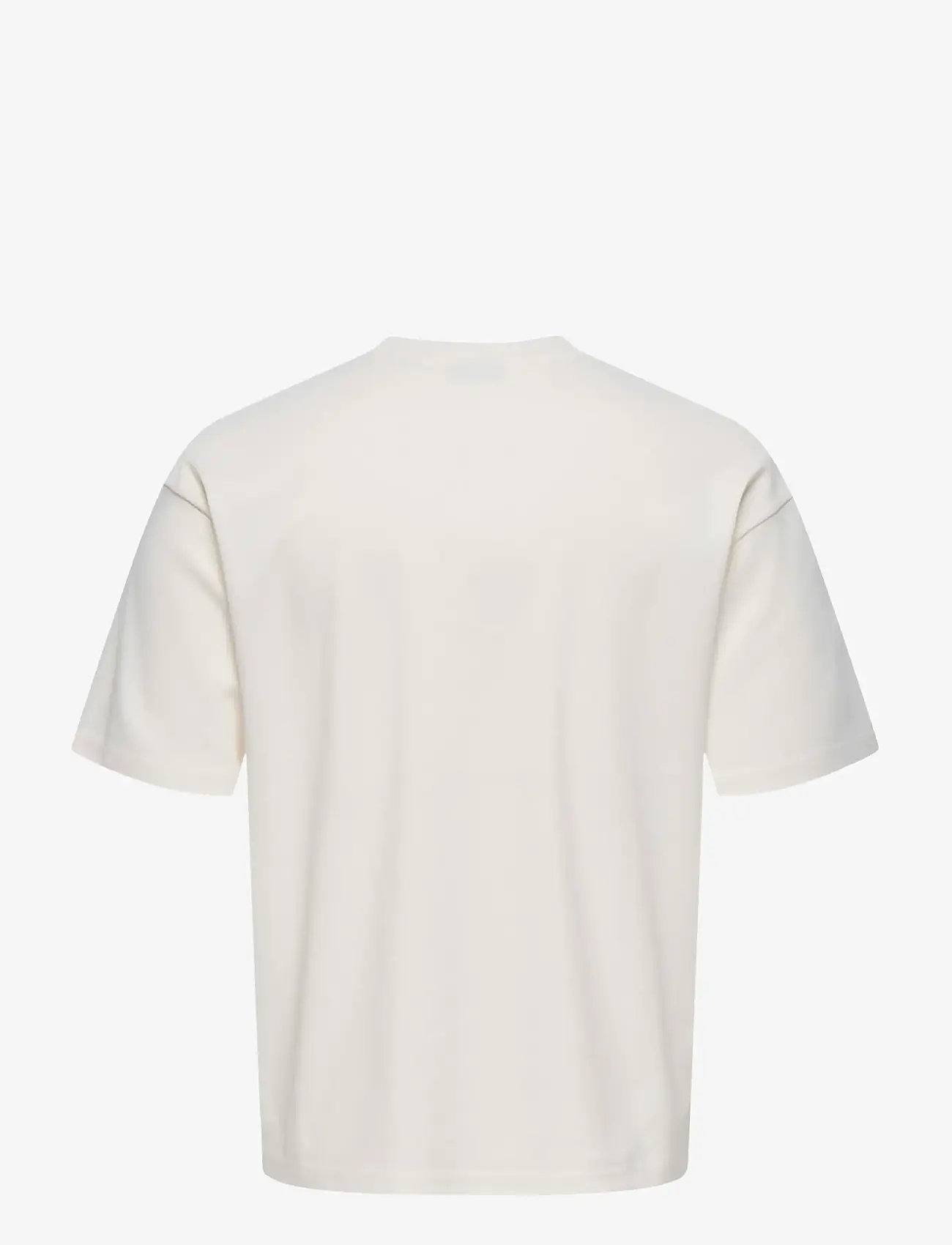 ONLY & SONS - ONSLES CLASSIQUES CASPIAN SS TEE - sügisesed riided - gardenia - 1