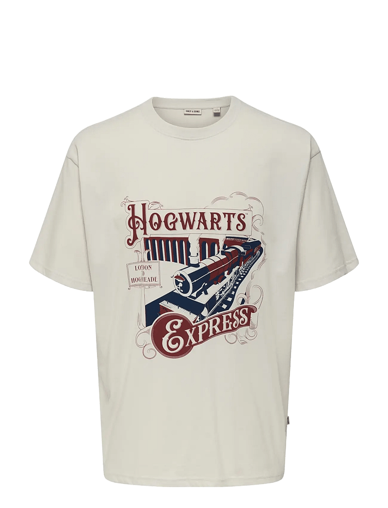 ONLY & SONS - ONSXMAS RLX SS TEE HP - kurzärmelig - lunar rock - 0