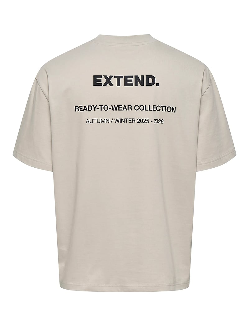 ONLY & SONS - ONSLALE OVZ SS XT TEE - lühikeste varrukatega t-särgid - silver lining - 1