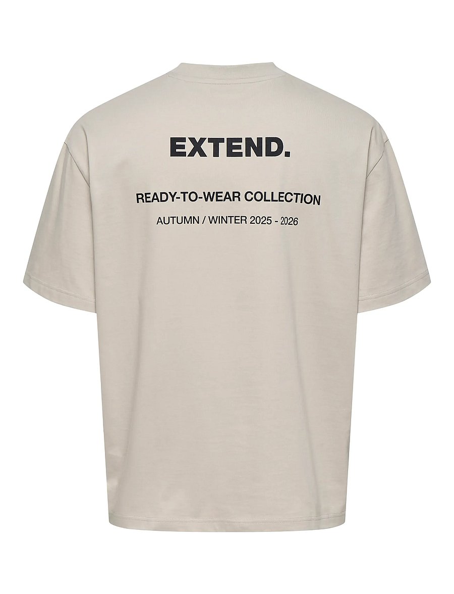 ONLY & SONS - ONSLALE OVZ SS XT TEE - lühikeste varrukatega t-särgid - silver lining - 1