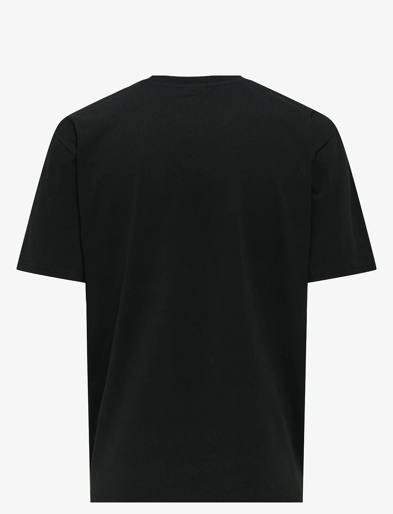 ONLY & SONS - ONSITA SS REG TEE MI - black - 1