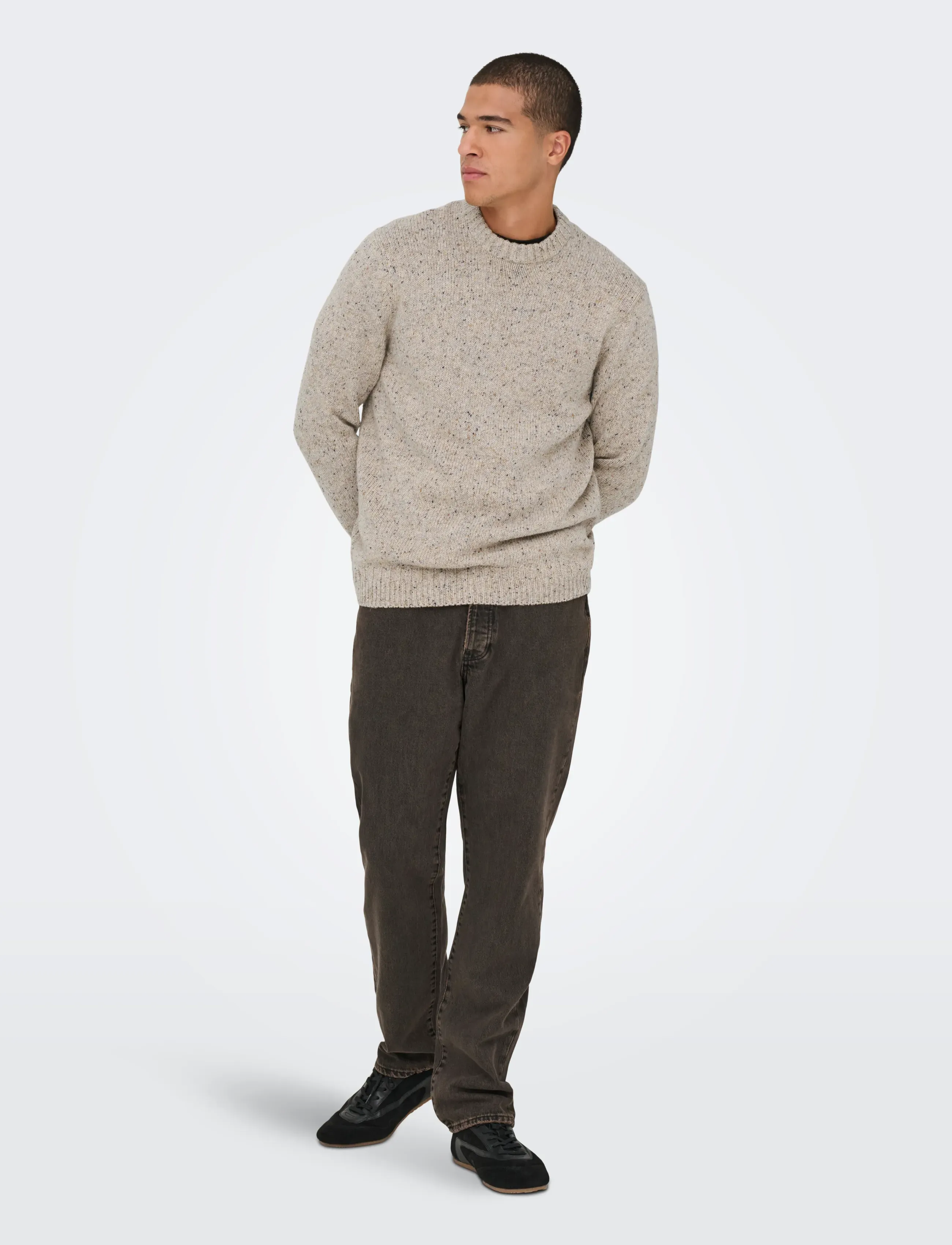 ONLY & SONS ONSBIRKY REG NAP CREW KNIT - Kläder - CHINCHILLA / beige