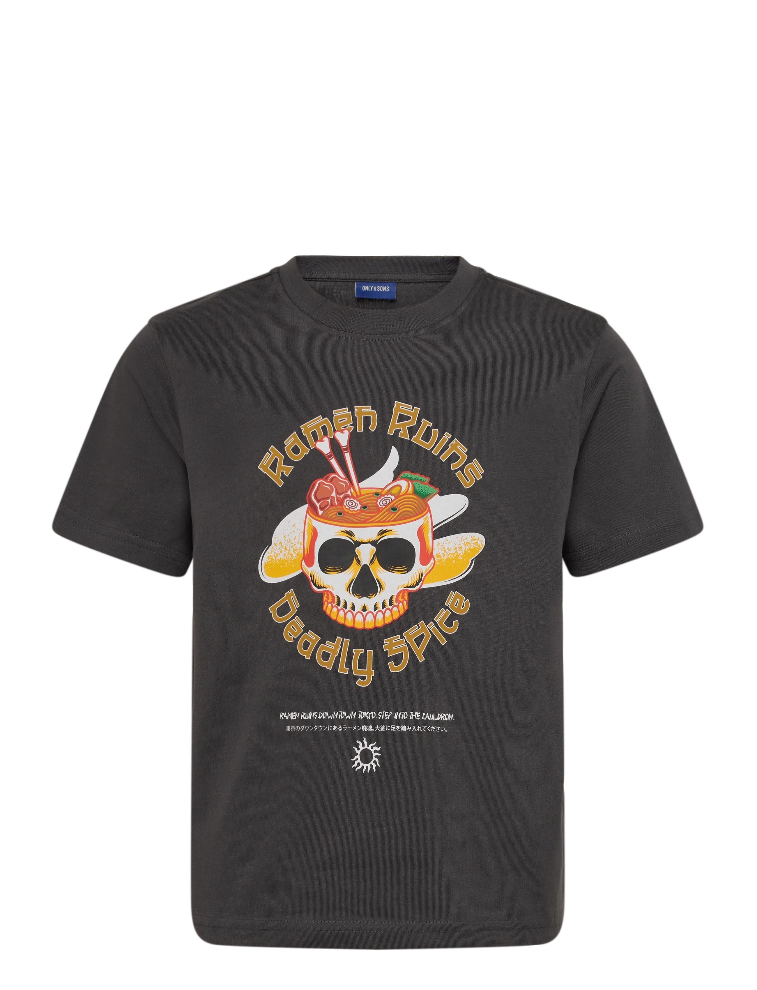 ONLY & SONS OSJFRED TONKOTSU LIFE RLX SS TEE JRS - Tøj - BLACKENED PEARL / grey