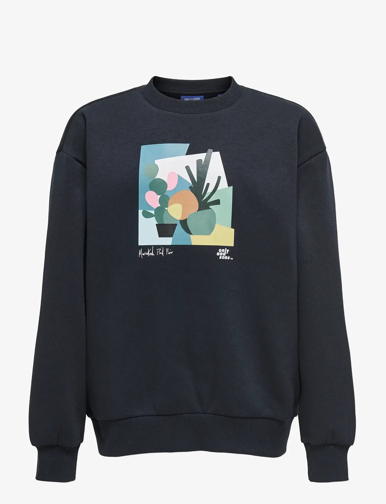 ONLY & SONS - OSJBEAUFORT CREW NECK RLX SWT - sweatshirts - black - 1