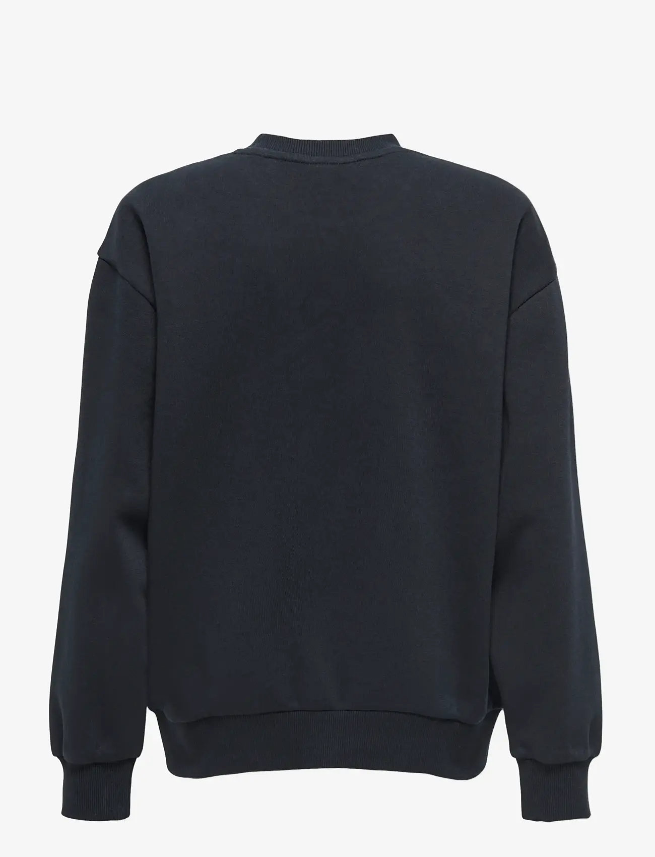 ONLY & SONS - OSJBEAUFORT CREW NECK RLX SWT - sweatshirts - black - 2