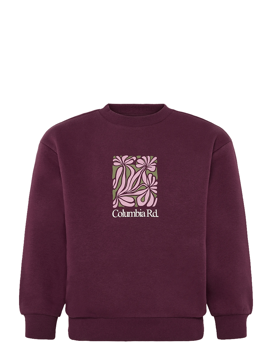 ONLY & SONS - OSJBEAUFORT CREW NECK RLX SWT - sweatshirts - fig - 1