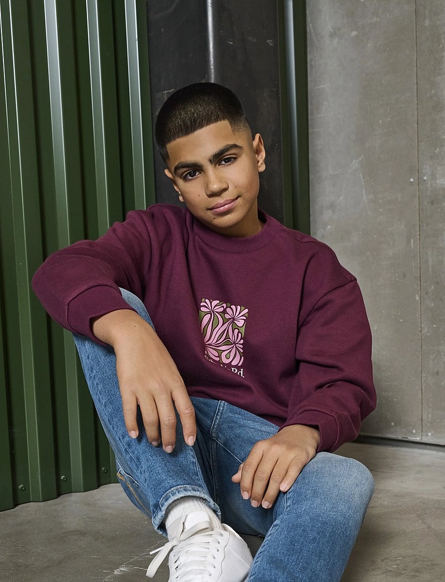 ONLY & SONS - OSJBEAUFORT CREW NECK RLX SWT - sweatshirts - fig - 0