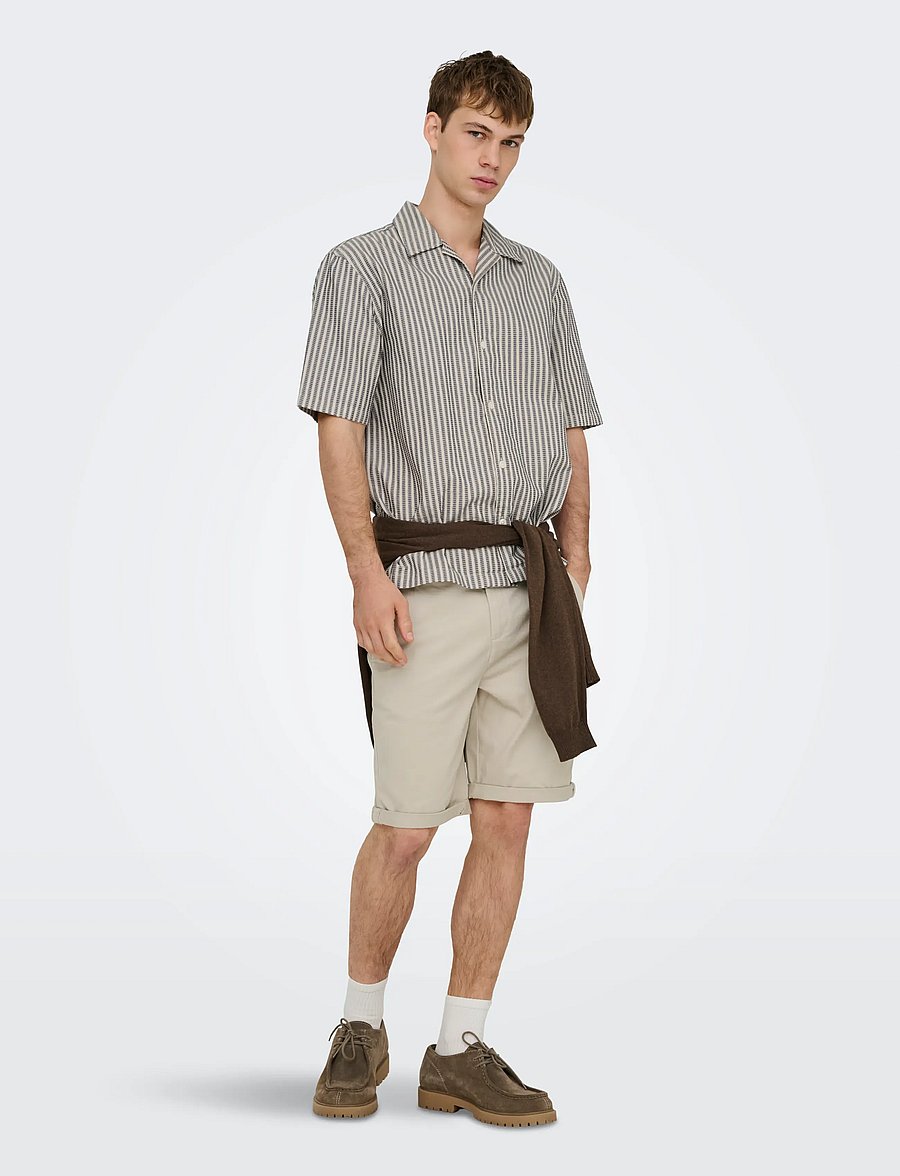 ONLY & SONS - ONSSAUL 0573 SHORTS NOOS - chinos shorts - silver lining - 5