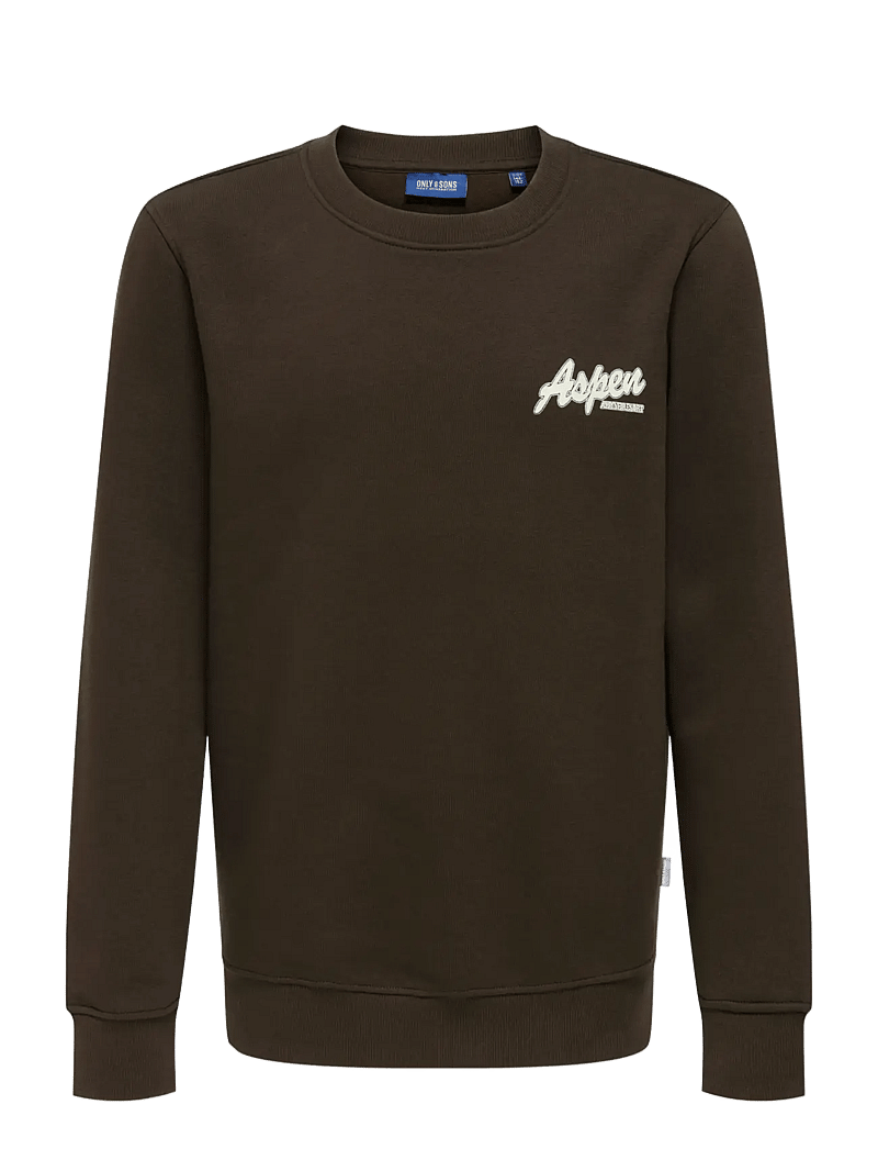 ONLY & SONS - OSJCONNOR SNOW LIFE LS REG CREW SWT - sweatshirts - coffee bean - 0