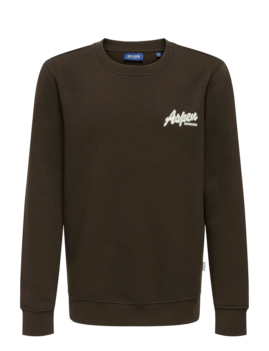 ONLY & SONS - OSJCONNOR SNOW LIFE LS REG CREW SWT - sweatshirts - coffee bean - 0