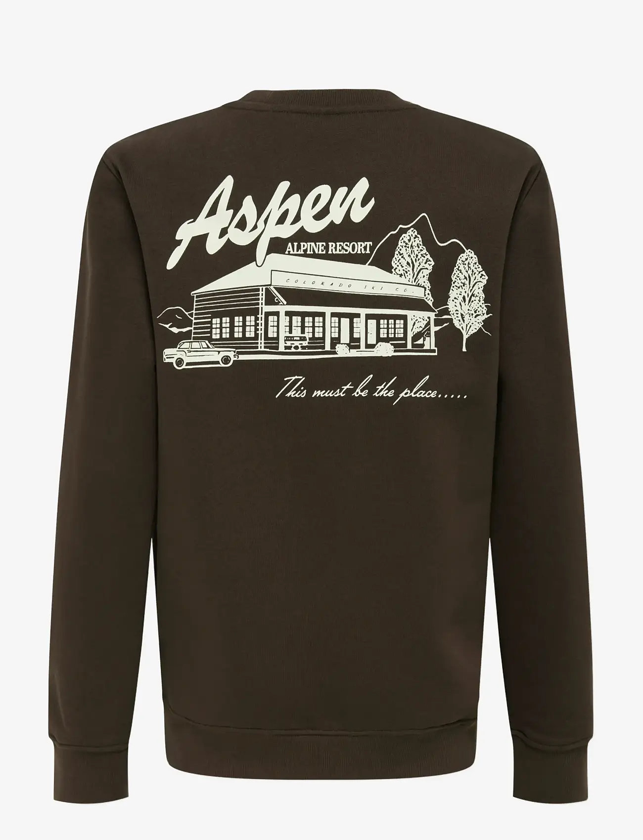 ONLY & SONS - OSJCONNOR SNOW LIFE LS REG CREW SWT - sweatshirts - coffee bean - 1