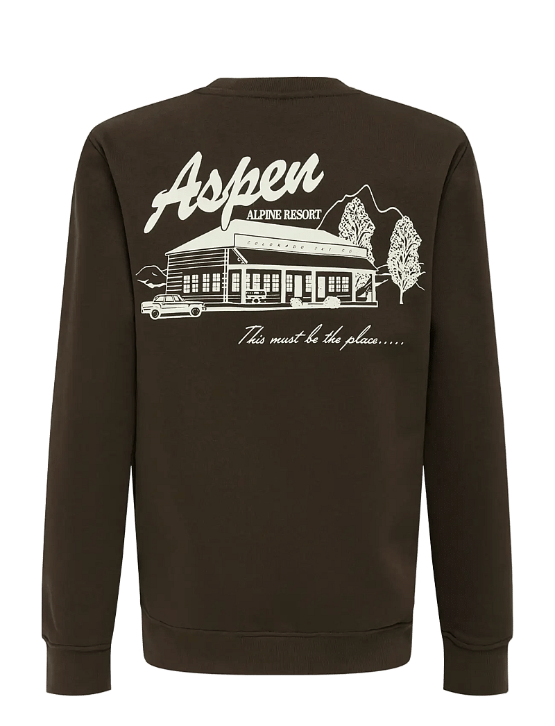 ONLY & SONS - OSJCONNOR SNOW LIFE LS REG CREW SWT - sweatshirts - coffee bean - 1