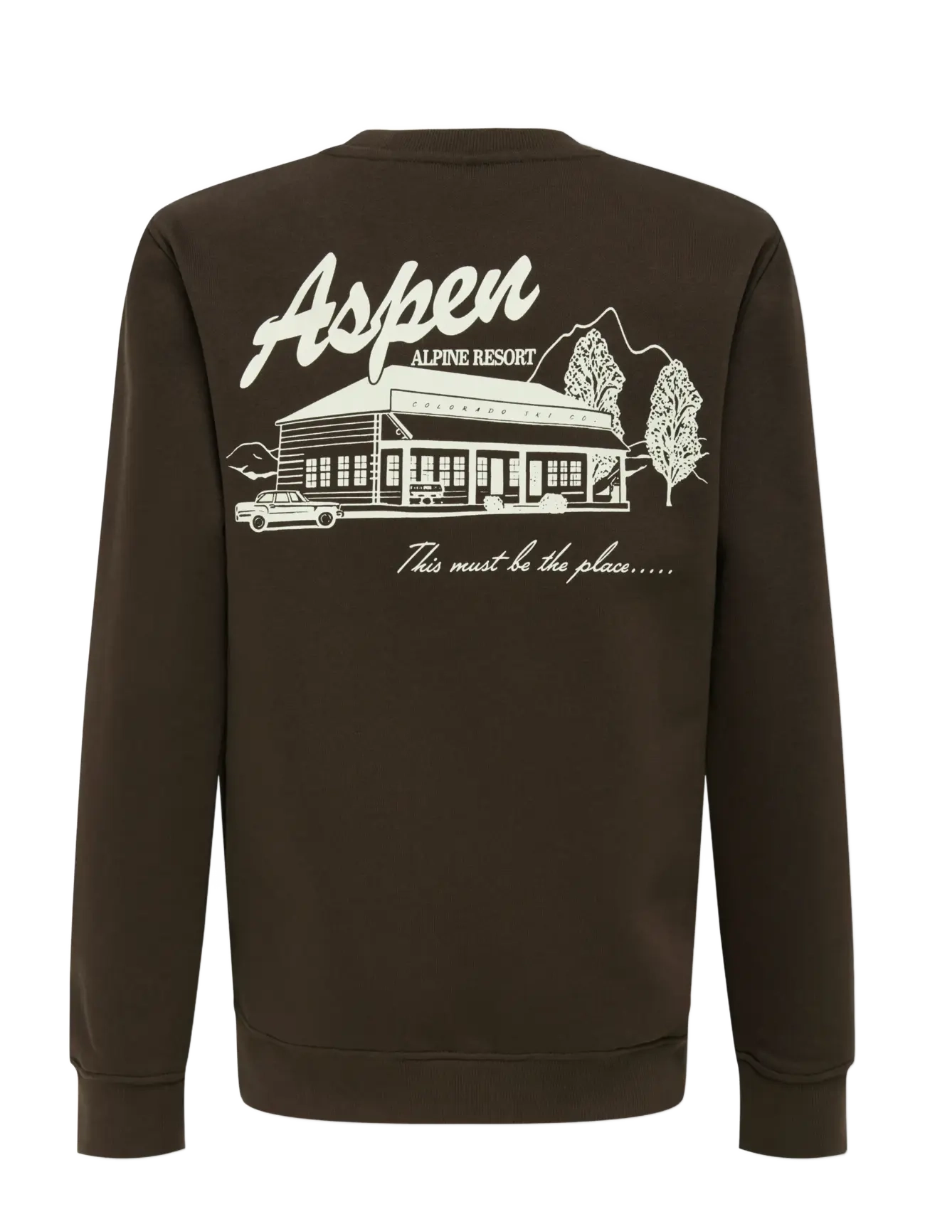 ONLY & SONS - OSJCONNOR SNOW LIFE LS REG CREW SWT - sweatshirts - coffee bean - 1