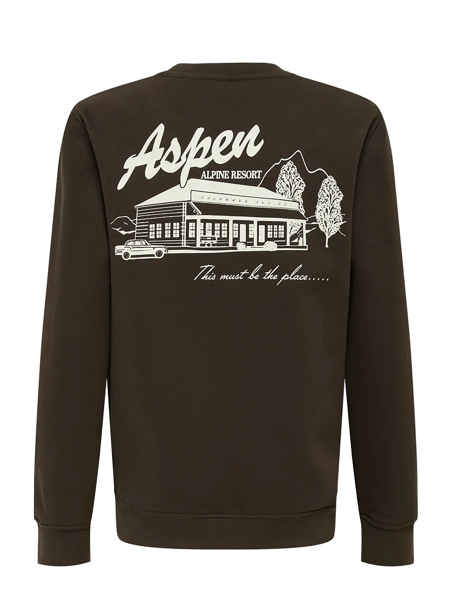 ONLY & SONS - OSJCONNOR SNOW LIFE LS REG CREW SWT - sweatshirts - coffee bean - 1
