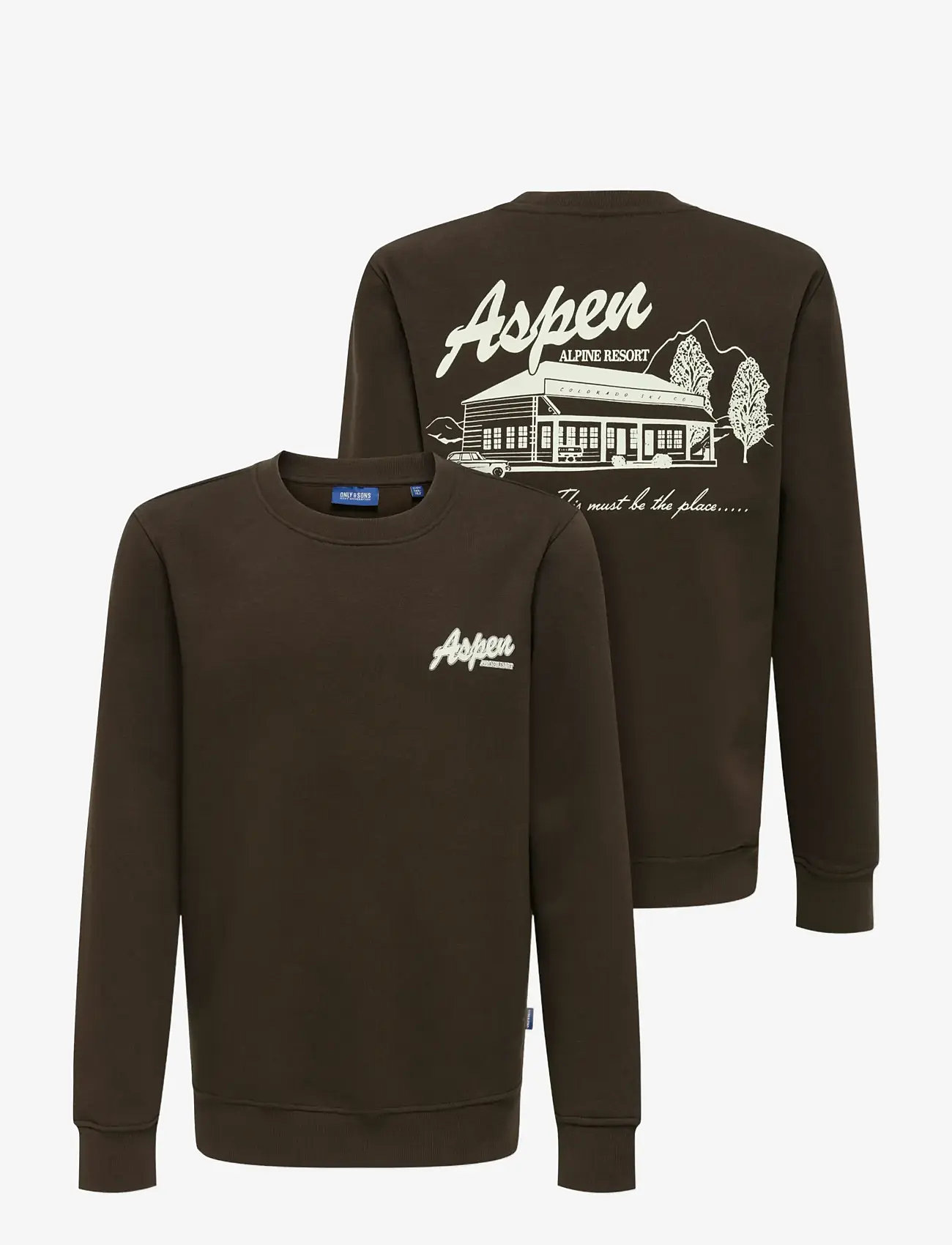 ONLY & SONS - OSJCONNOR SNOW LIFE LS REG CREW SWT - sweatshirts - coffee bean - 2