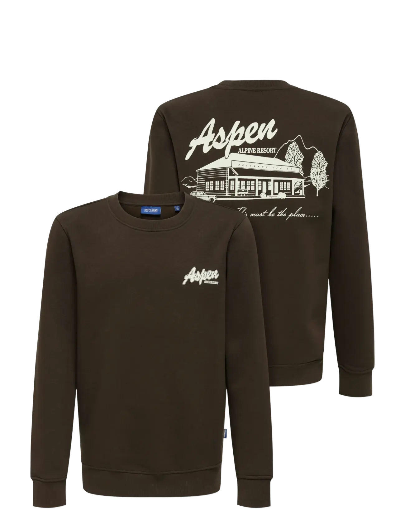 ONLY & SONS - OSJCONNOR SNOW LIFE LS REG CREW SWT - sweatshirts - coffee bean - 2