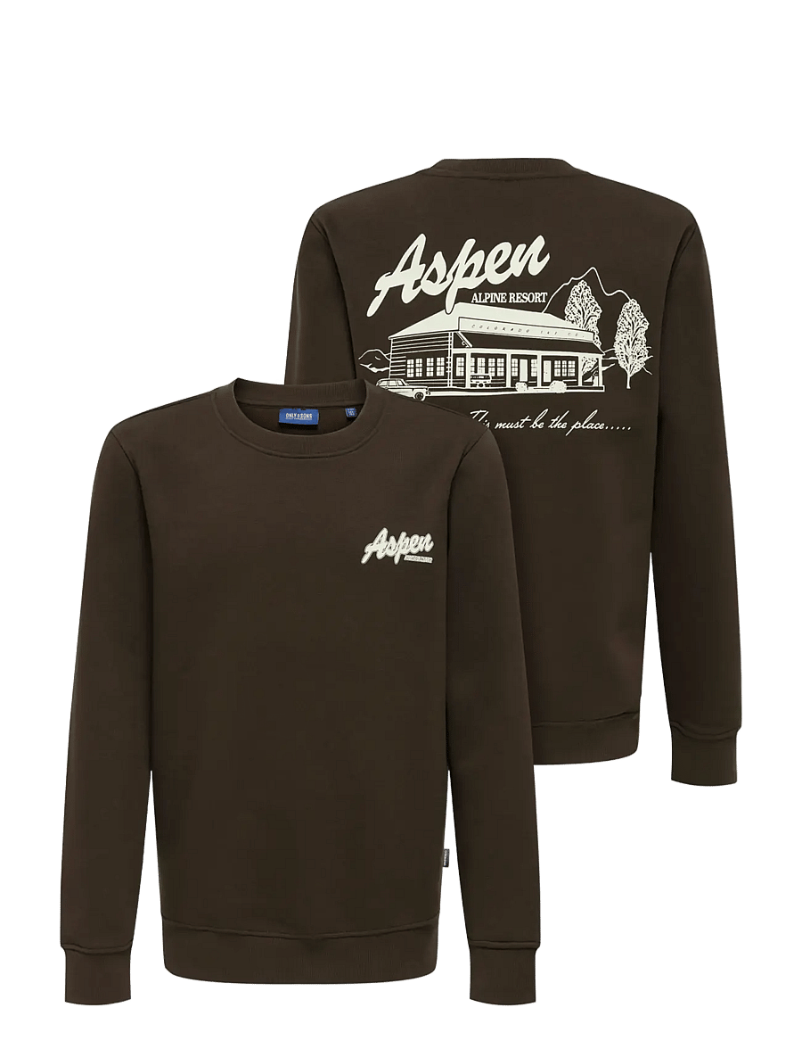 ONLY & SONS - OSJCONNOR SNOW LIFE LS REG CREW SWT - sweatshirts - coffee bean - 2