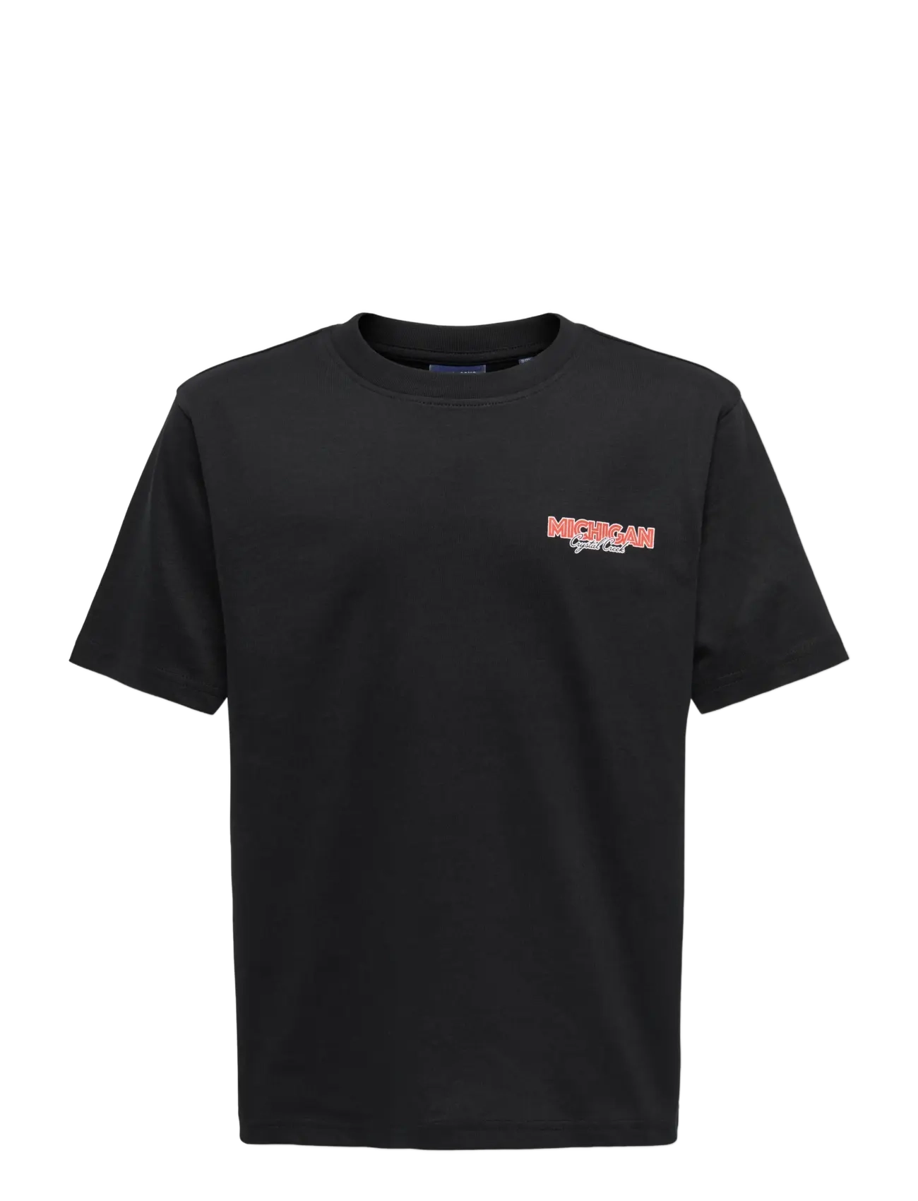 ONLY & SONS OSJFRED STATES LIFE RLX SS TEE JRS - Overdele - BLACK / black