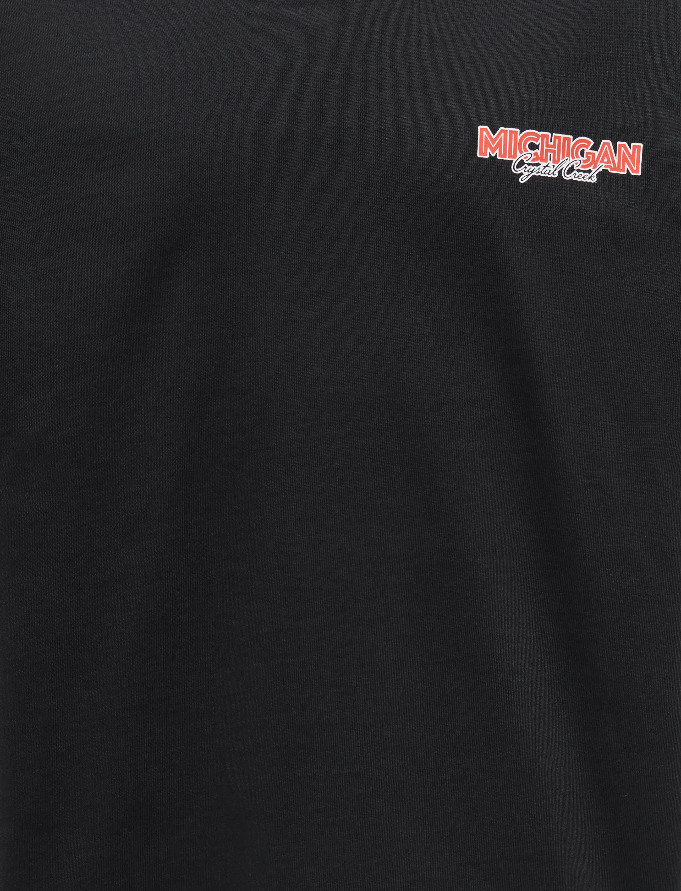 ONLY & SONS - OSJFRED STATES LIFE RLX SS TEE JRS - kortærmede t-shirts - black - 3