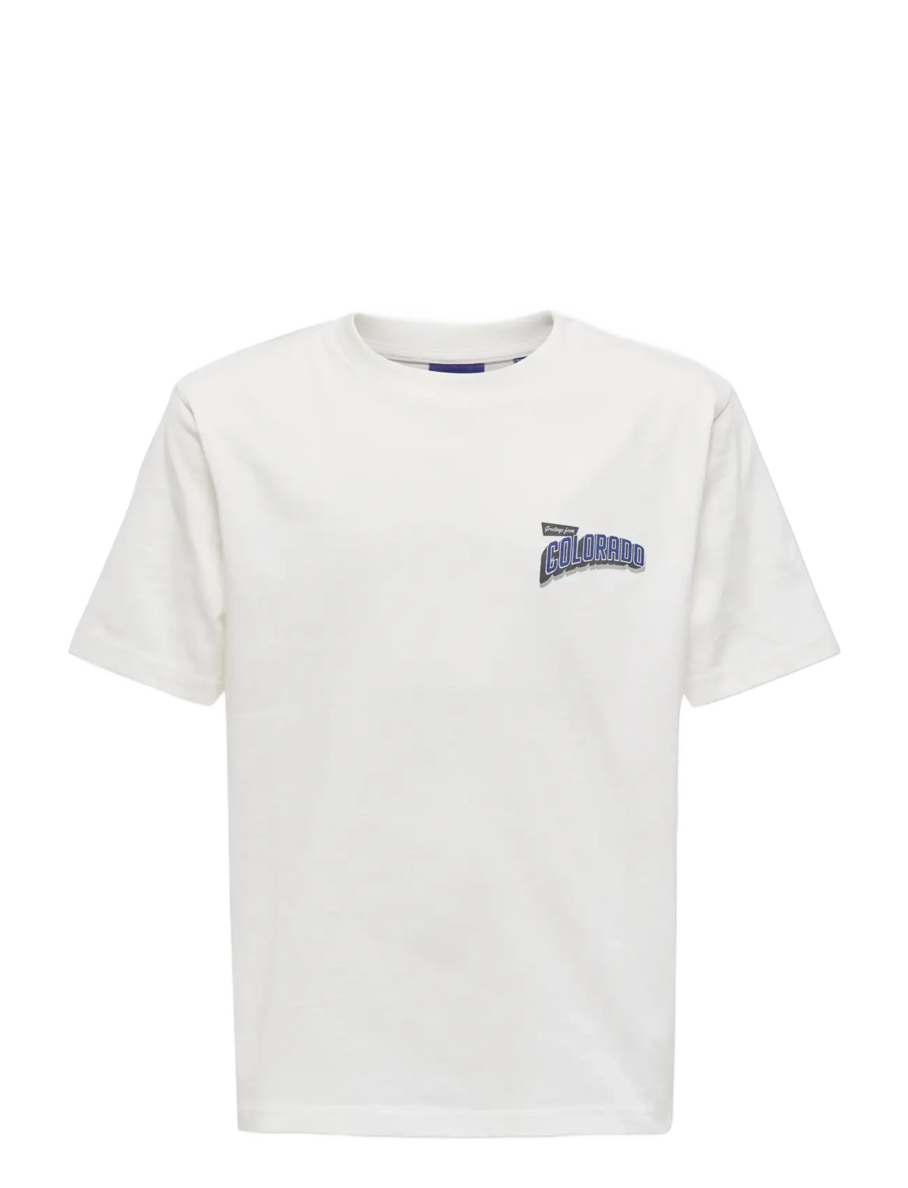 ONLY & SONS OSJFRED STATES LIFE RLX SS TEE JRS - Kortærmede T-shirts - CLOUD DANCER / white