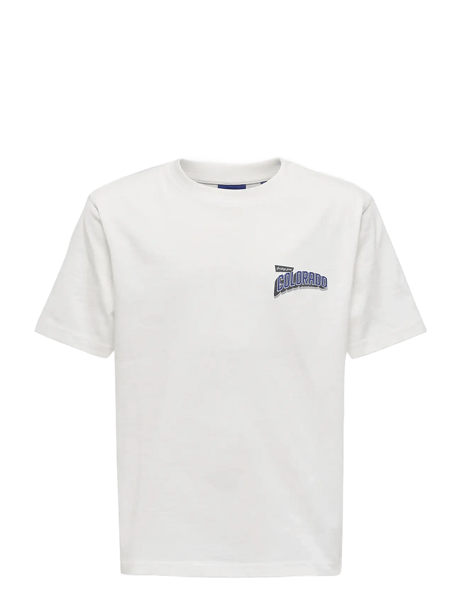 ONLY & SONS - OSJFRED STATES LIFE RLX SS TEE JRS - kortærmede t-shirts - cloud dancer - 0