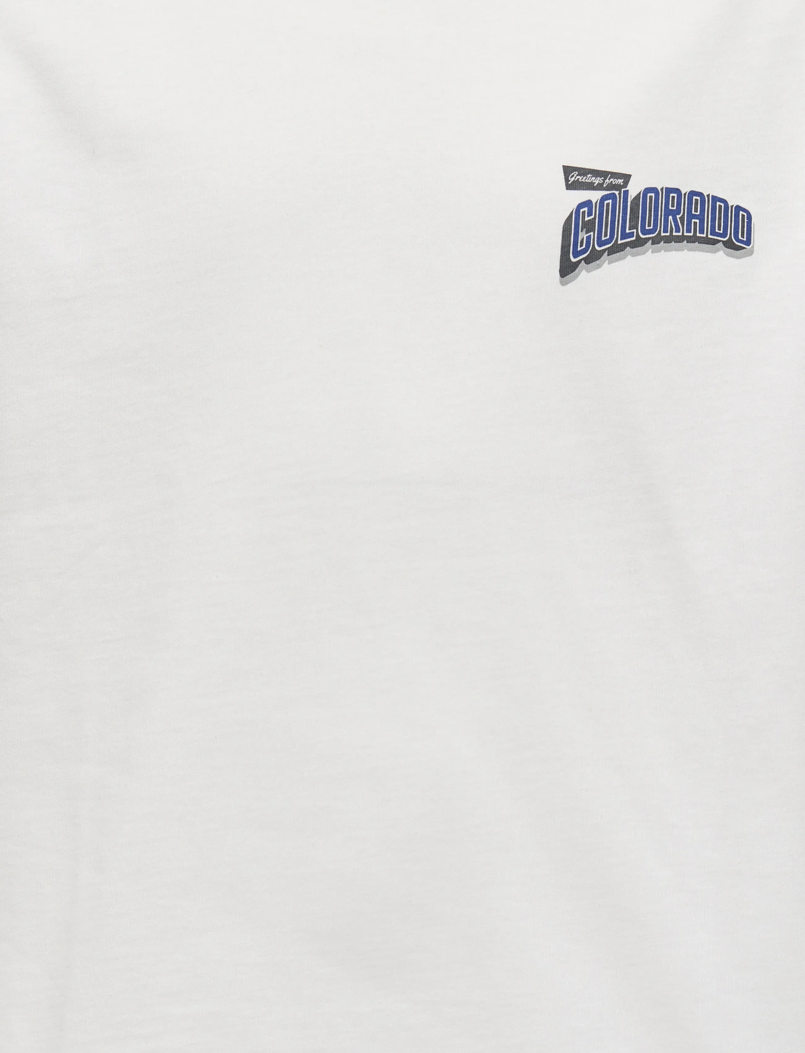 ONLY & SONS - OSJFRED STATES LIFE RLX SS TEE JRS - kortærmede t-shirts - cloud dancer - 3