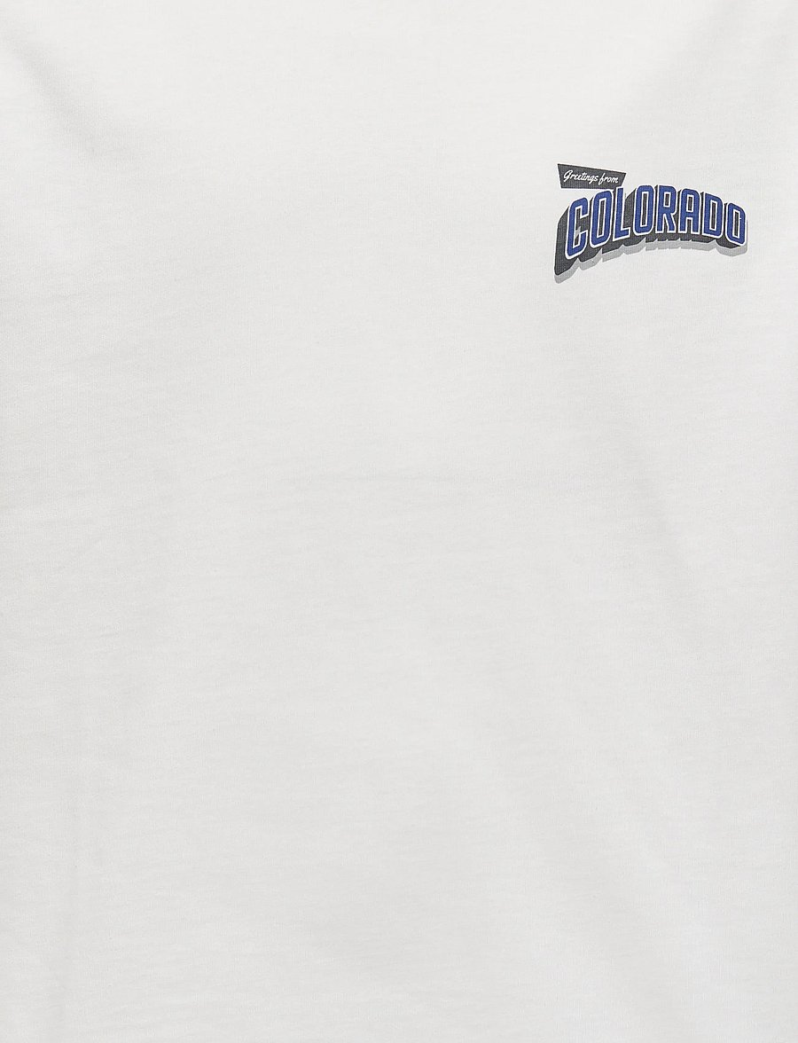ONLY & SONS - OSJFRED STATES LIFE RLX SS TEE JRS - kortærmede t-shirts - cloud dancer - 3