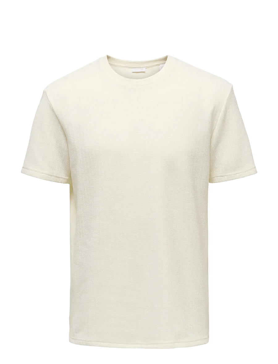 ONLY & SONS - ONSTREY LIFE REG SS FRML TEE - lühikeste varrukatega t-särgid - gardenia - 0