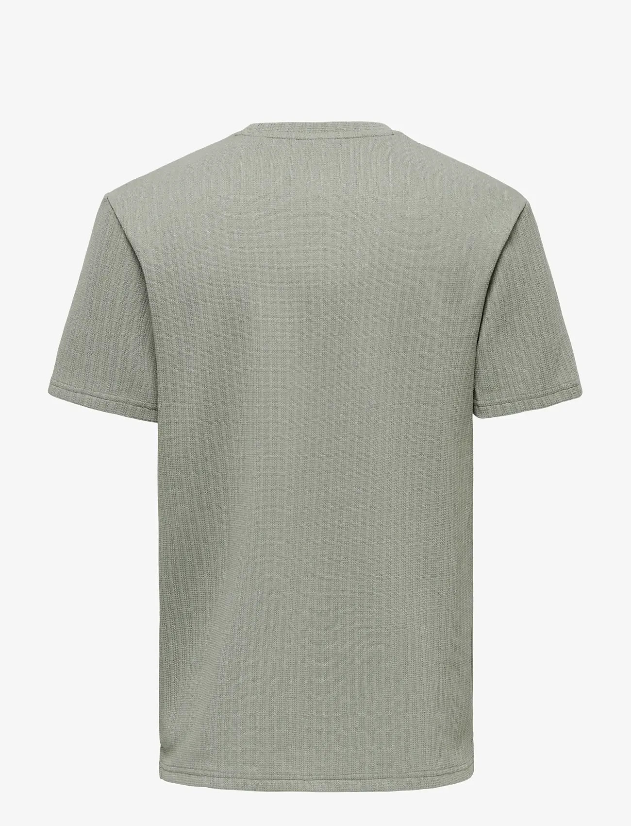 ONLY & SONS - ONSTREY LIFE REG SS FRML TEE - kortærmede t-shirts - laurel oak - 1