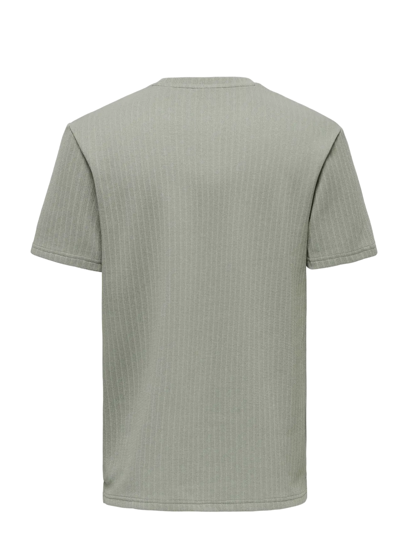 ONLY & SONS - ONSTREY LIFE REG SS FRML TEE - kurzärmelig - laurel oak - 1