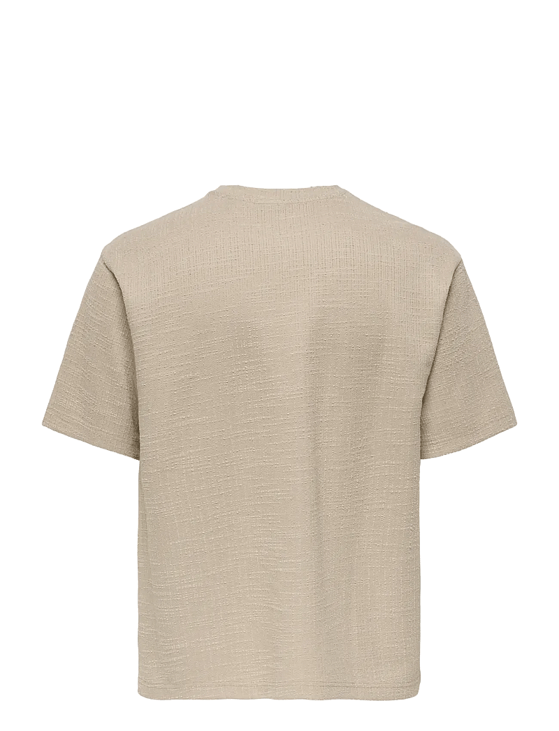 ONLY & SONS - ONSANDRE RLX SS TEE - kurzärmelig - silver lining - 1