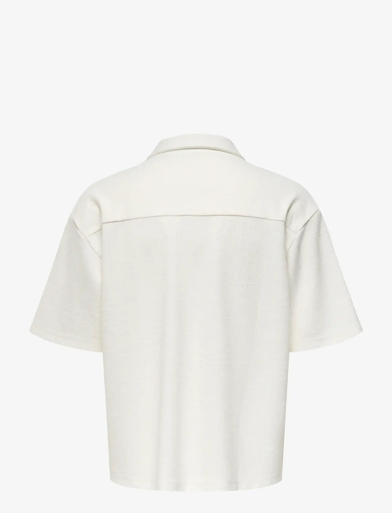 ONLY & SONS - ONSANDRE RLX SS SHIRT - kortærmede skjorter - cloud dancer - 1