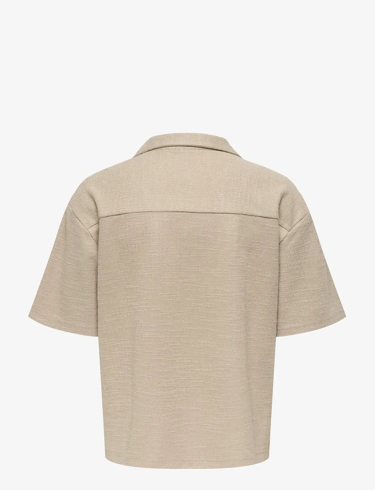 ONLY & SONS - ONSANDRE RLX SS SHIRT - kortærmede skjorter - silver lining - 1