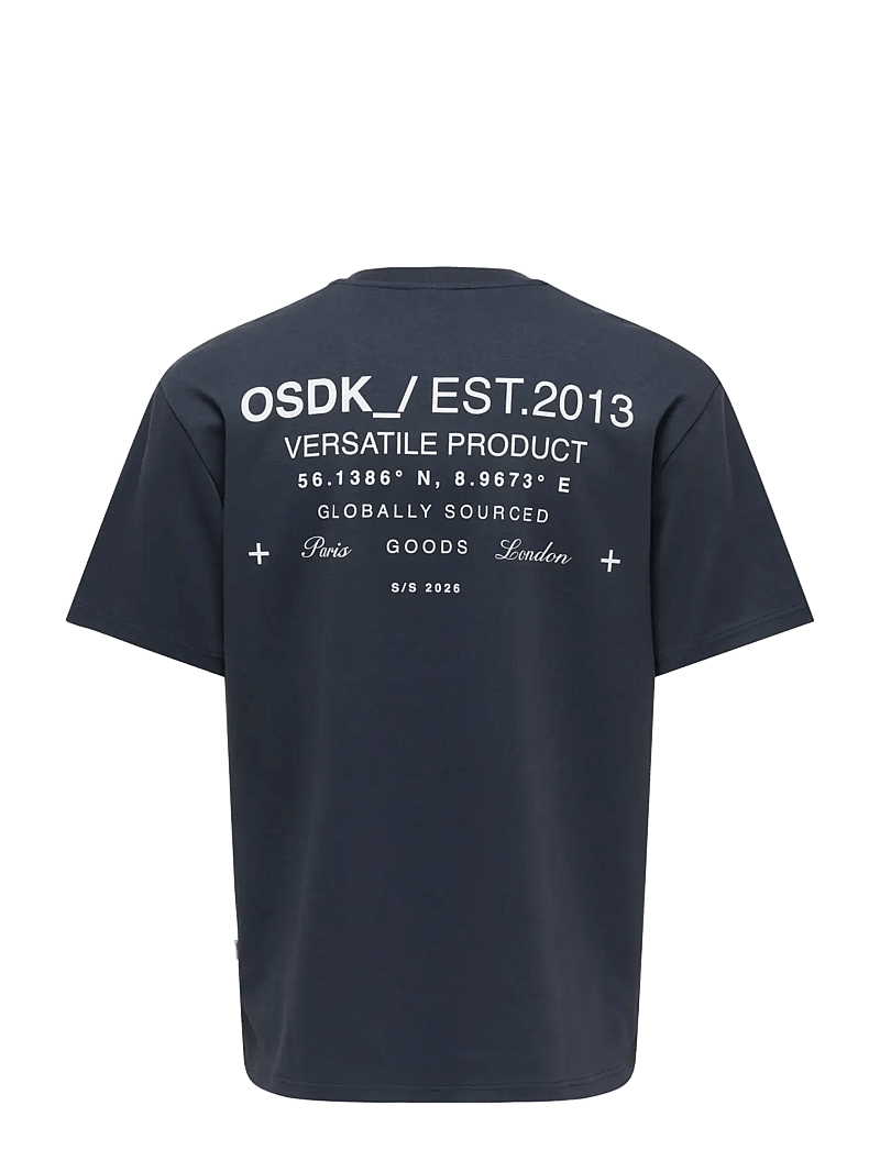 ONLY & SONS - ONSCASPIAN AIRFLEX PROCESS BOXY SS TEE - kurzärmelig - blue nights - 1